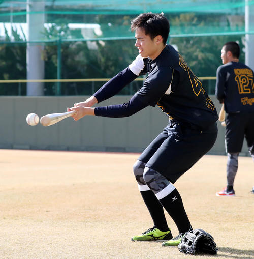 新人合同自主トレでペッパーを行う遠藤（撮影・加藤哉）