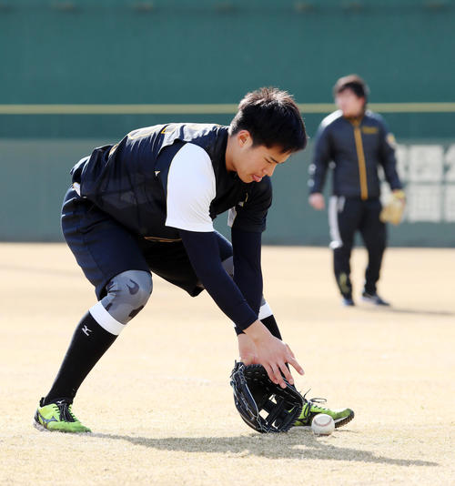 新人合同自主トレでボールを捕球する遠藤（撮影・加藤哉）