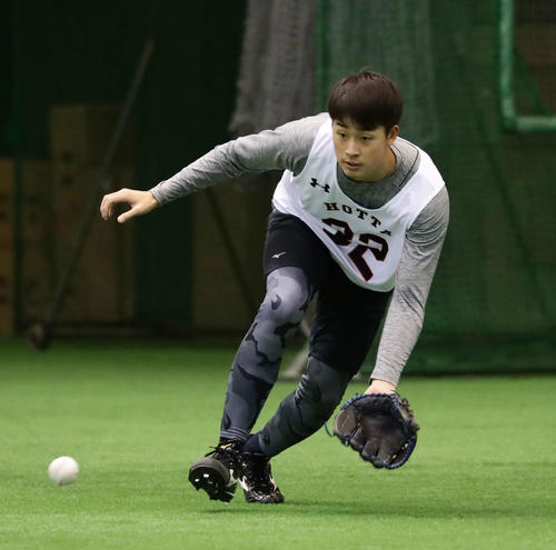 軽快な動きで打球を追うドラフト1位の堀田（撮影・丹羽敏通）