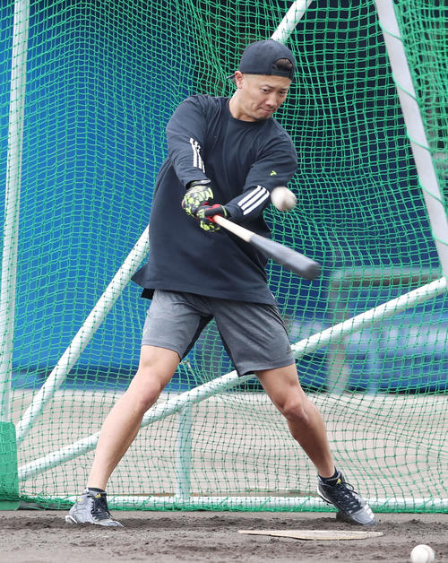 自主トレを公開した日本ハム西川はフリーバッティングを行う（撮影・加藤哉）