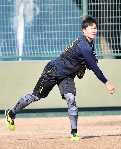 キャッチボールをして汗を流す阪神ドラフト4位の遠藤成（撮影・上田博志）