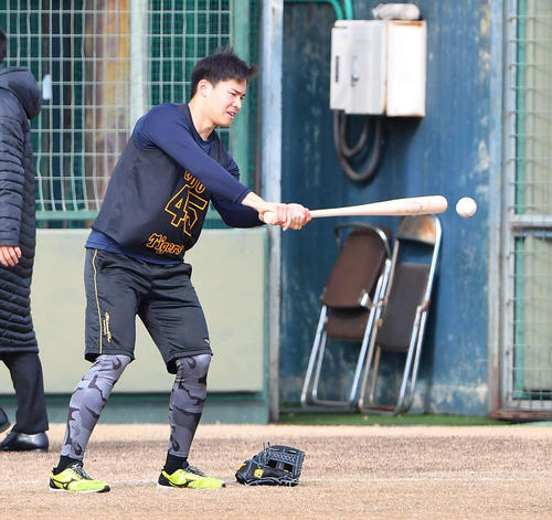 合同自主トレでペッパーをする阪神遠藤（2020年1月9日）