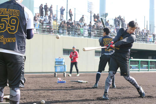 新人合同自主トレでトスバッティングするドラフト4位の東海大相模・遠藤（撮影・上山淳一）