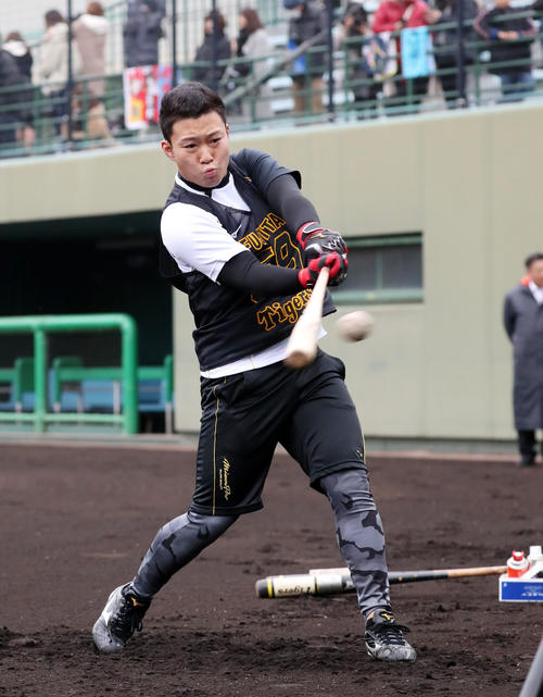 新人合同自主トレでティー打撃を行う藤田（撮影・加藤哉）