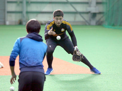 ゴロ捕で下半身のトレーニングをする日本ハム清宮（撮影・黒川智章）
