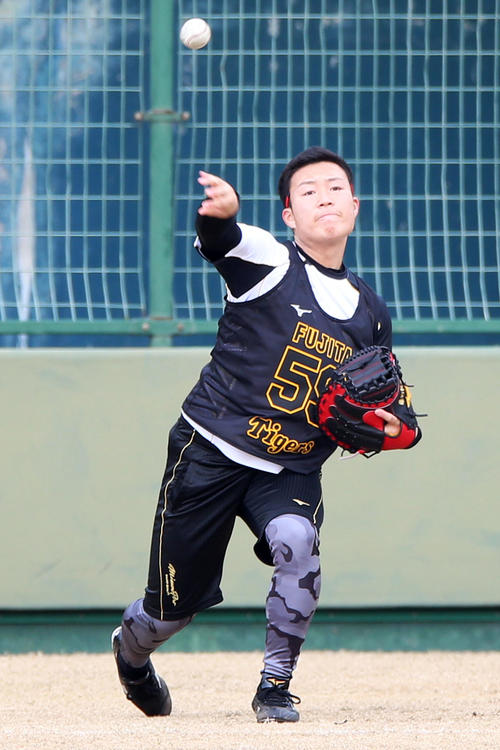 新人合同自主トレでキャッチボールする藤田（撮影・上山淳一）