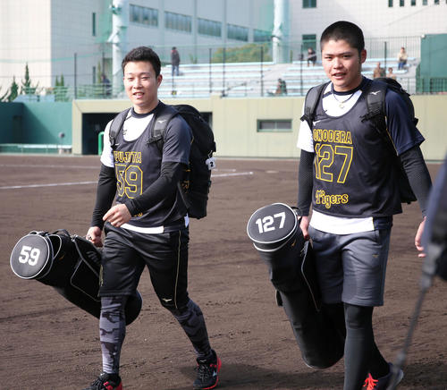 新人合同自主トレを終え引きあげる藤田（左）と小野寺（撮影・上山淳一）
