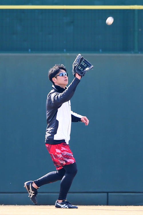 外野ノックを受ける近本（撮影・上山淳一）