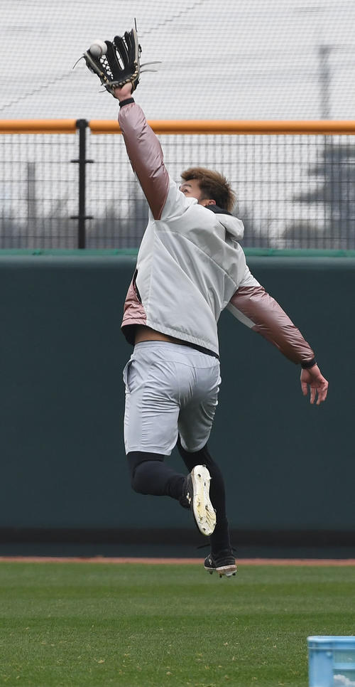 外野の守備に就く柳田悠岐（撮影・今浪浩三）