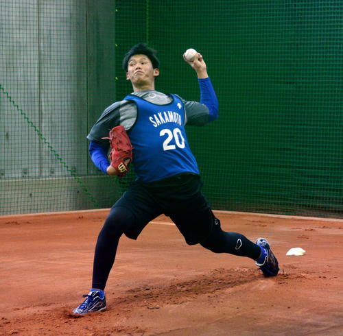 ブルペンで投げ込むDeNAドラフト2位の坂本（撮影・鈴木正章）
