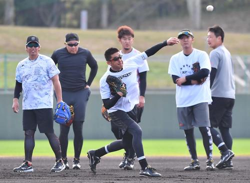 ノックを受ける左から梅野、大山、能見、岩貞、横山、岩崎（撮影・上田博志）