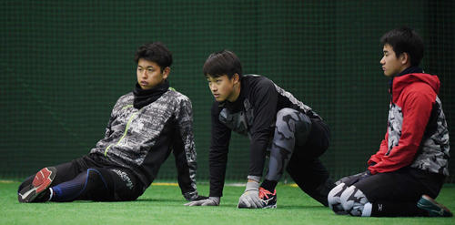 菅野のキャッチボールを見つめる、左から巨人太田、堀田、井上（撮影・鈴木みどり）