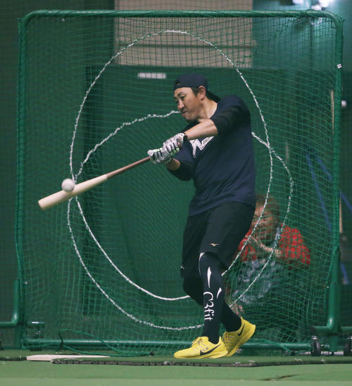 自主トレでフリー打撃を行うソフトバンク内川聖一　（撮影・菊川光一）