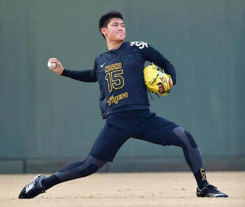 外野でキャッチボールを行う西純（撮影・清水貴仁）