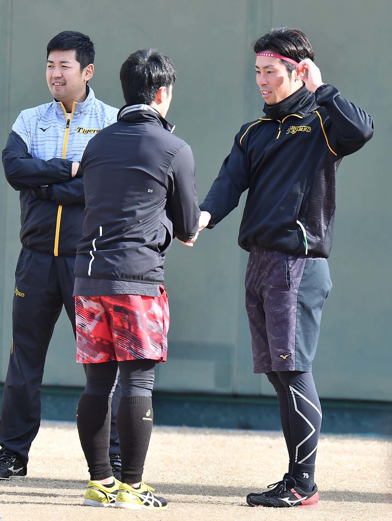 鳴尾浜で自主トレする江越（右）は近本と握手を交わす（撮影・上田博志）