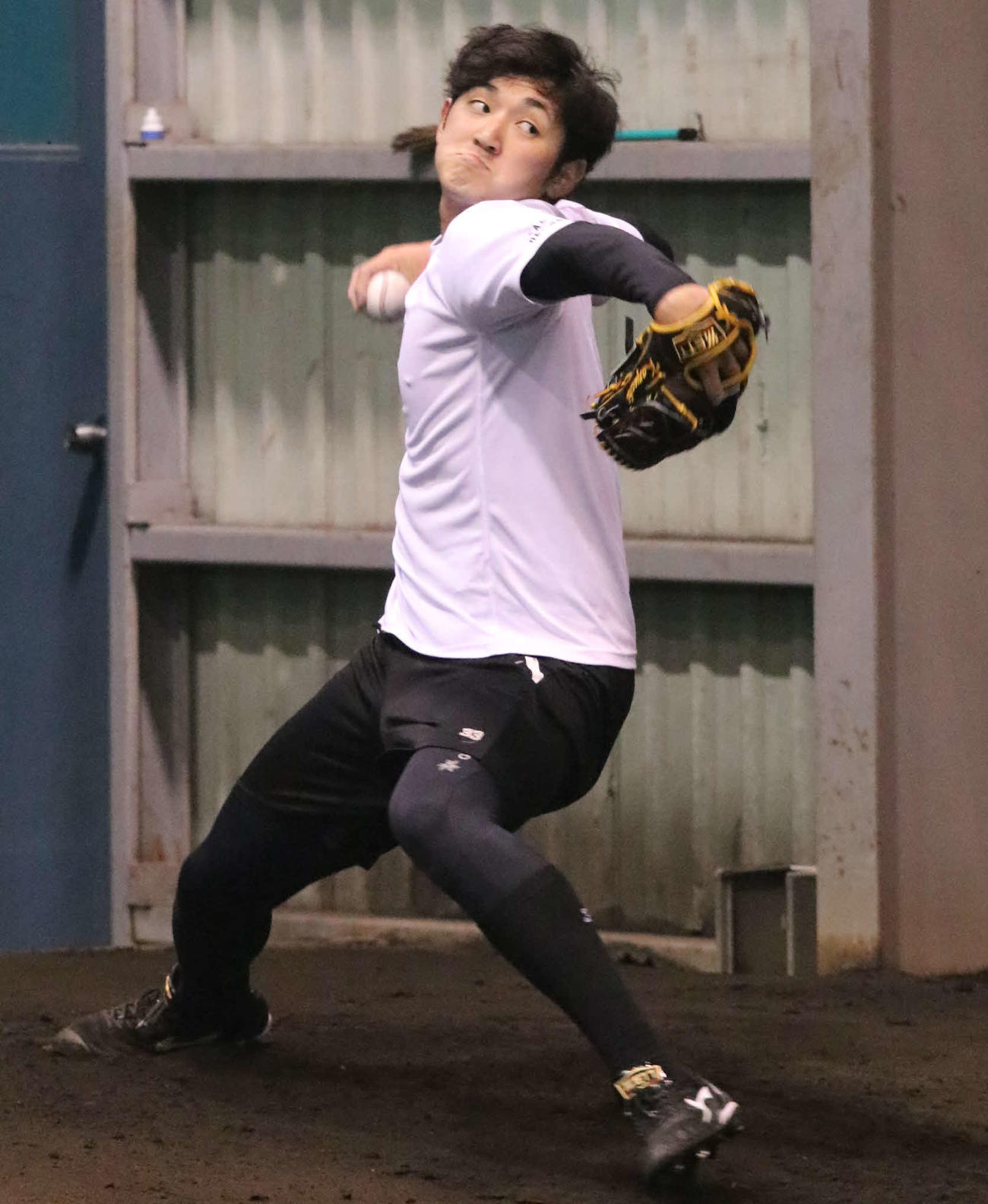 ブルペンで投球練習をする日本ハム立野（撮影・山崎純一）