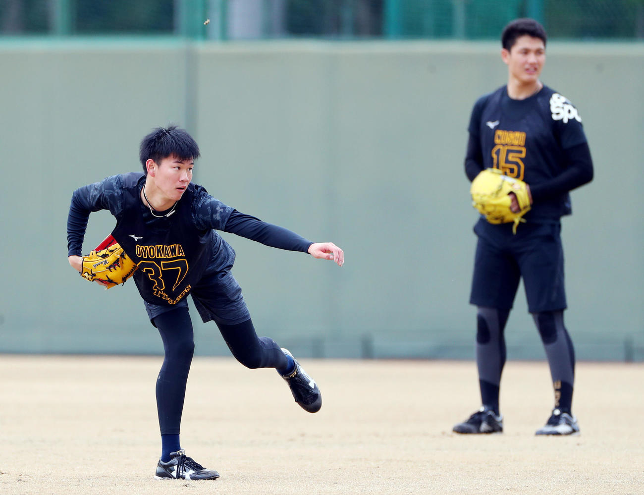 合同自主トレでキャッチボールを行う阪神及川（左）（撮影・前田充）