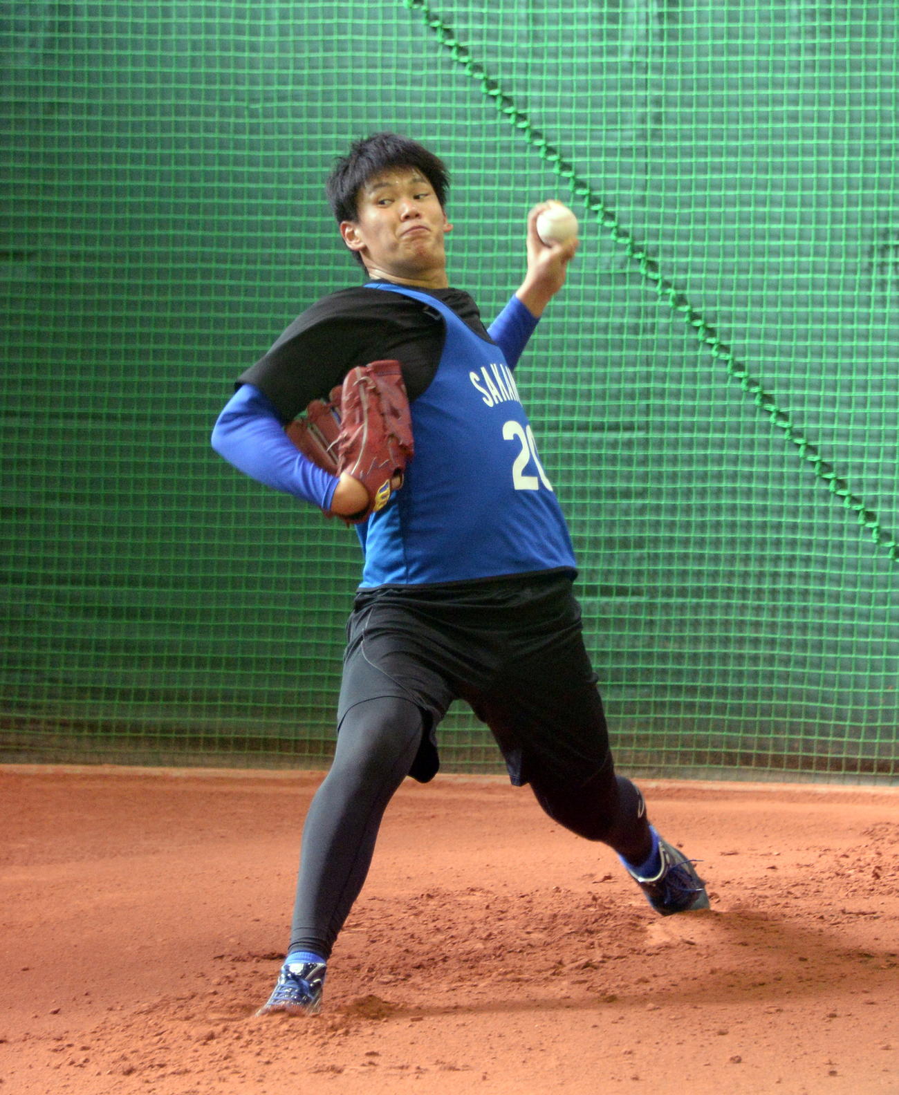 ブルペンで力強く投げ込むDeNA坂本（撮影・鈴木正章）
