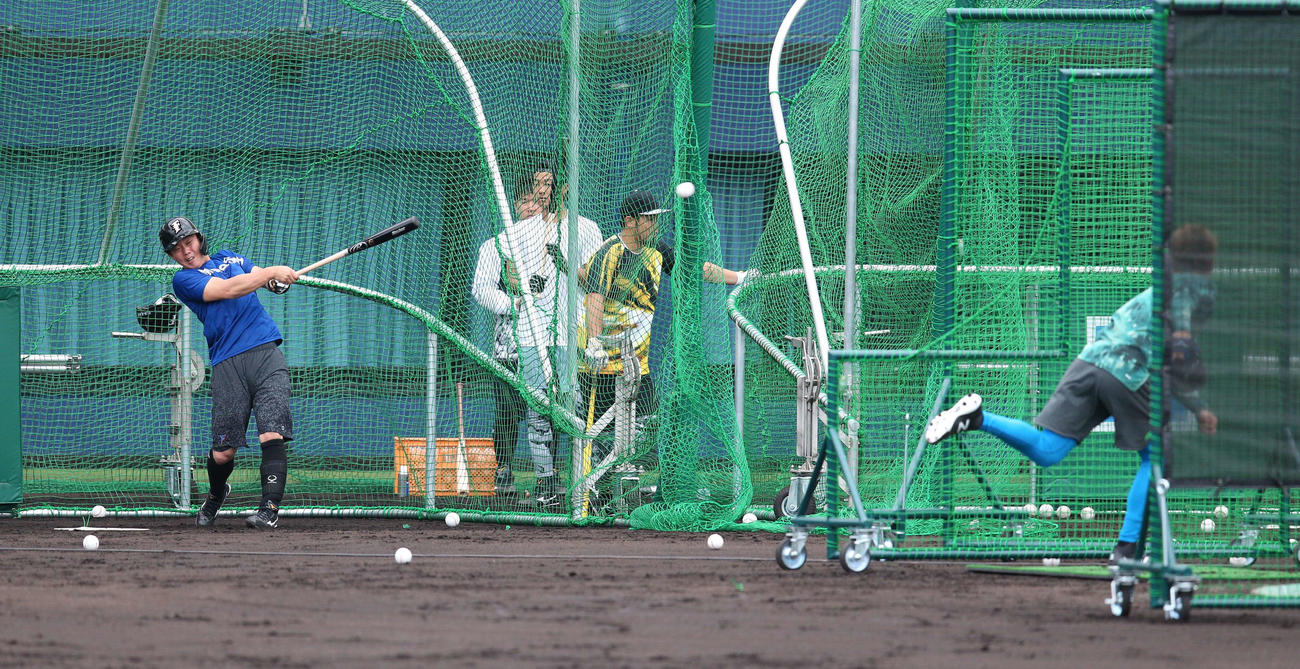 宮西（右）を相手にフリー打撃する日本ハム鶴岡（撮影・黒川智章）