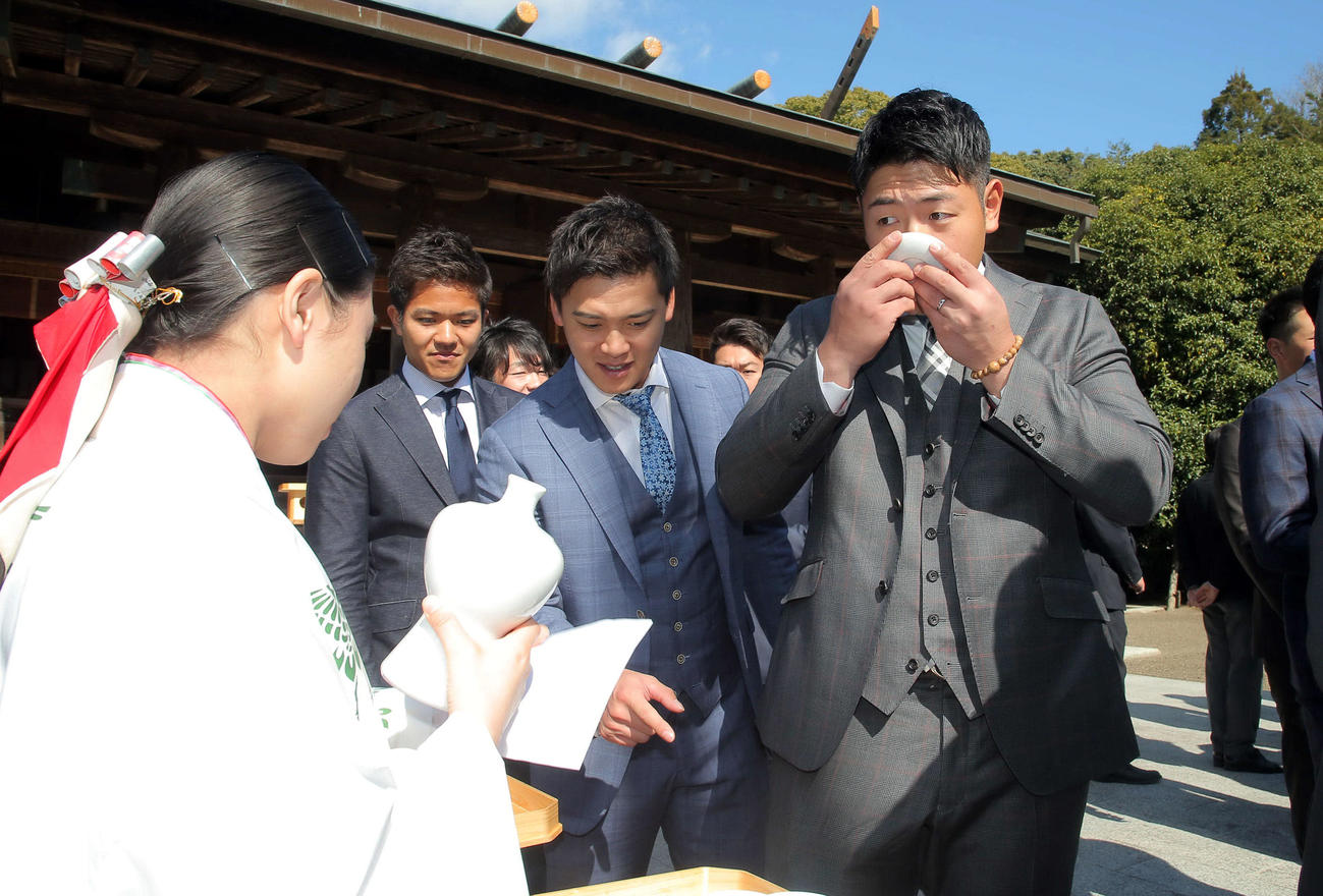 御神酒に口を付ける巨人岡本（撮影・たえ見朱実）