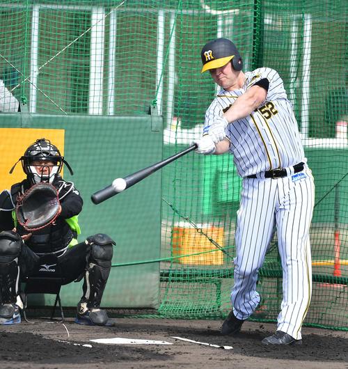 ランチ特打で快音を響かせる阪神サンズ（撮影・上田博志）