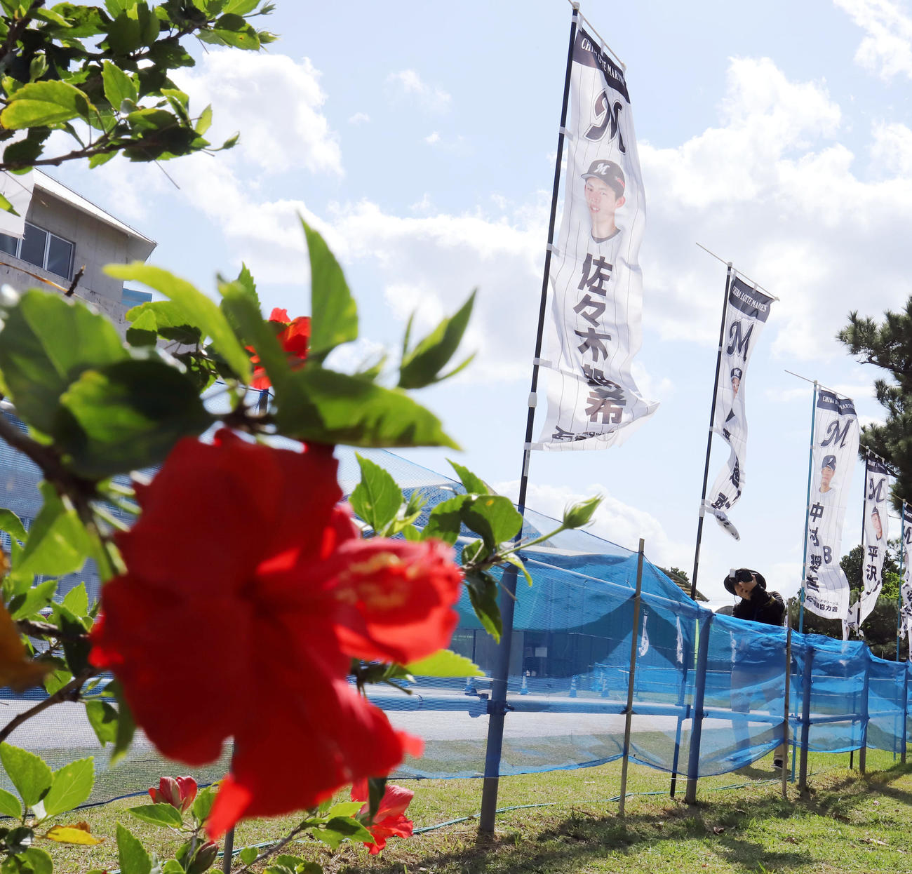 室内練習場の前にロッテ佐々木朗ののぼりが設置された（撮影・垰建太）