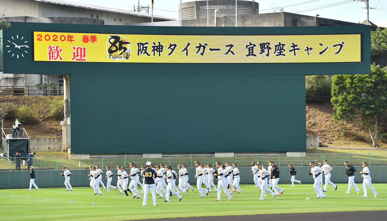 宜野座キャンプを開始した阪神ナイン（撮影・上田博志）