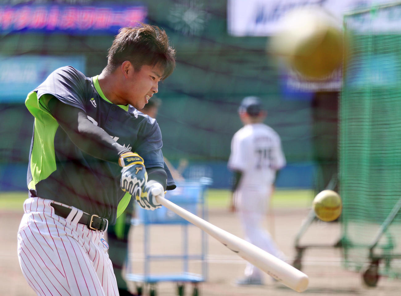トス打撃の練習でソフトボールを打ち込むヤクルト村上（撮影・狩俣裕三）