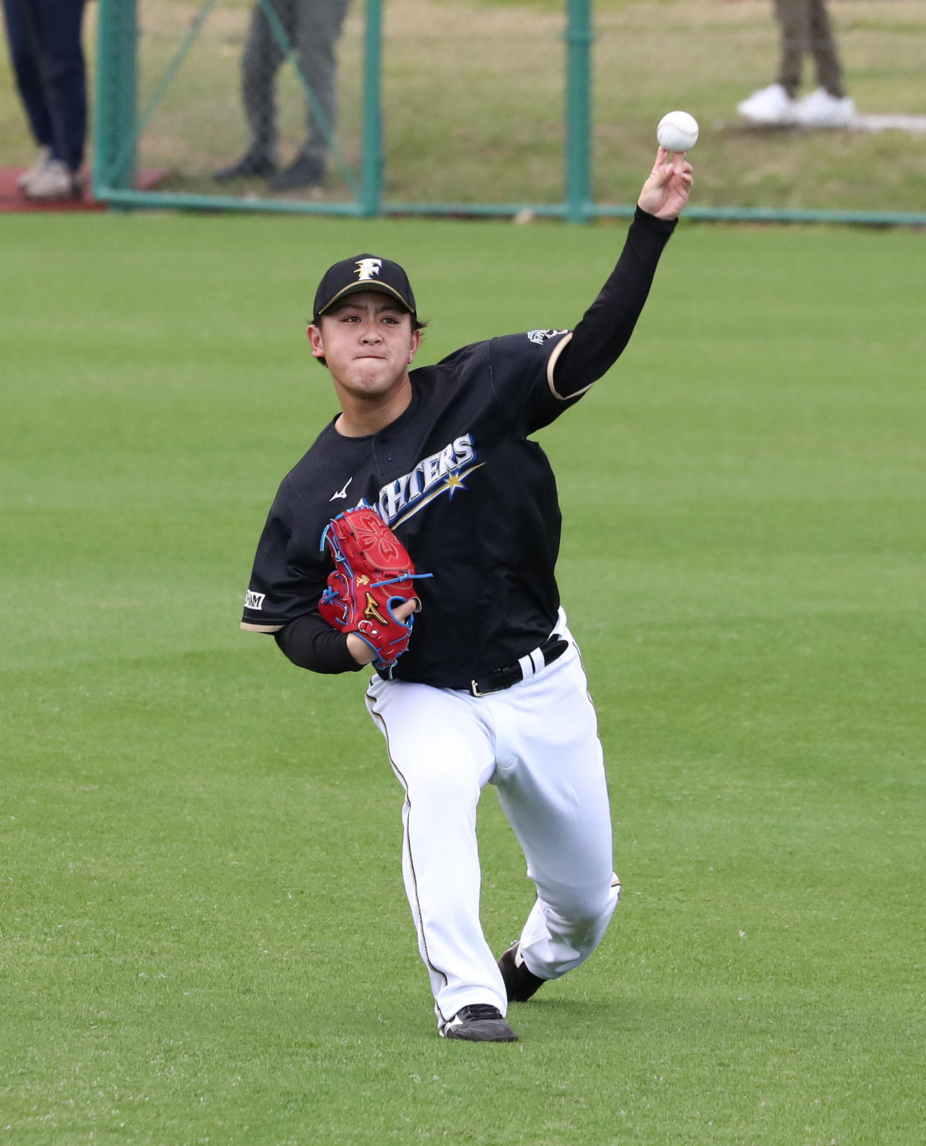 キャッチボールする日本ハム河野（撮影・黒川智章）