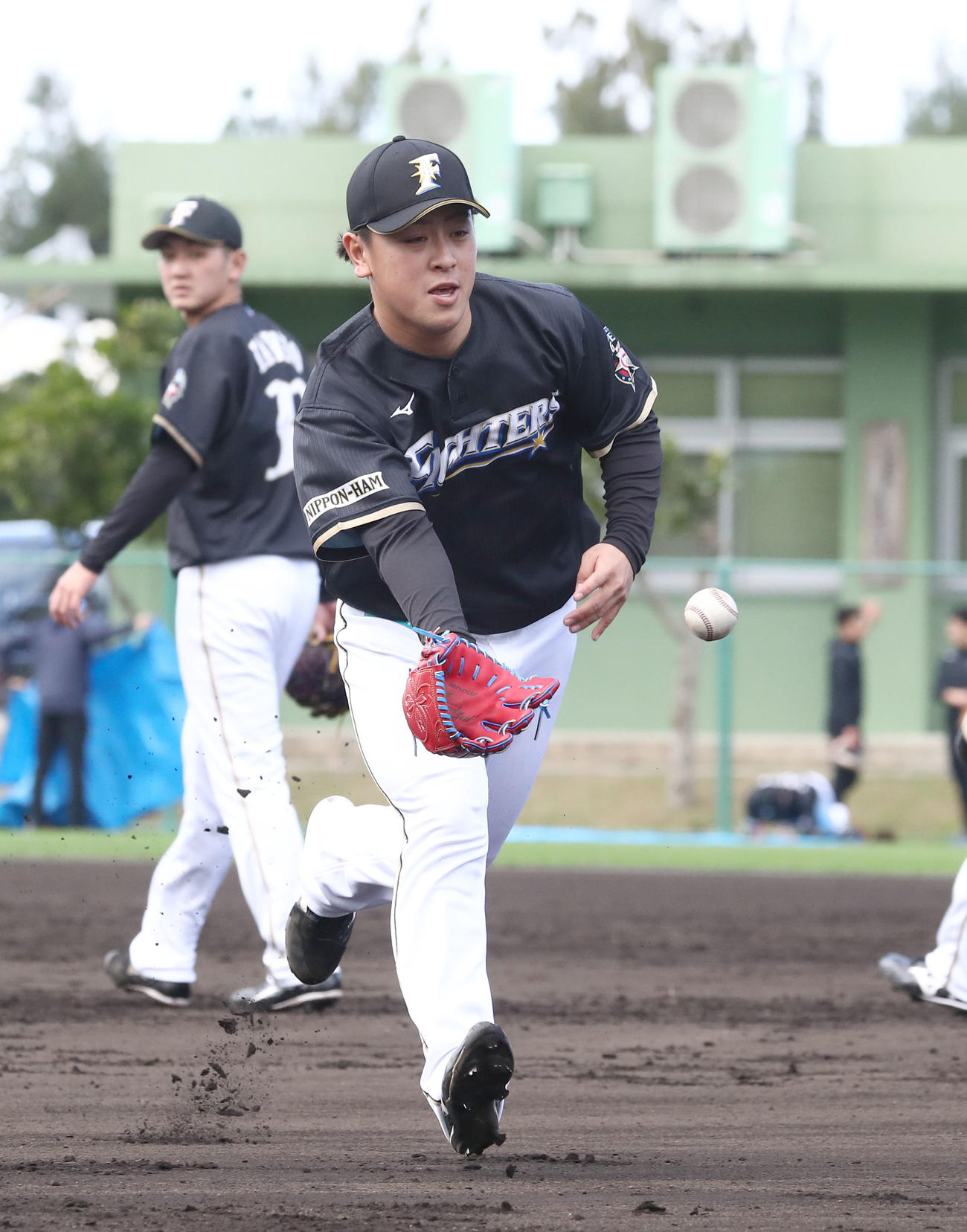 ノックを受けトスする日本ハム河野（撮影・黒川智章）