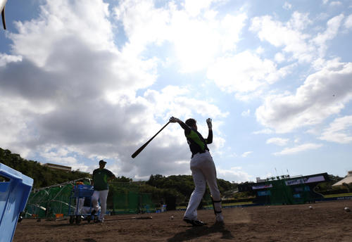 打撃練習で汗を流すヤクルト村上(撮影・狩俣裕三)