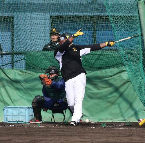 工藤監督が見る前でフリー打撃を行うソフトバンクのバレンティン(撮影・菊川光一)