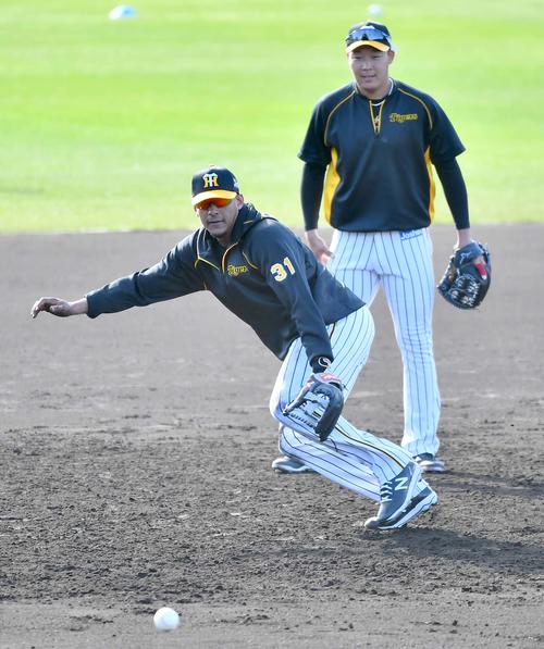 三塁を争う大山(右)と早出特守に参加し軽快な動きを見せる阪神マルテ(撮影・上田博志)
