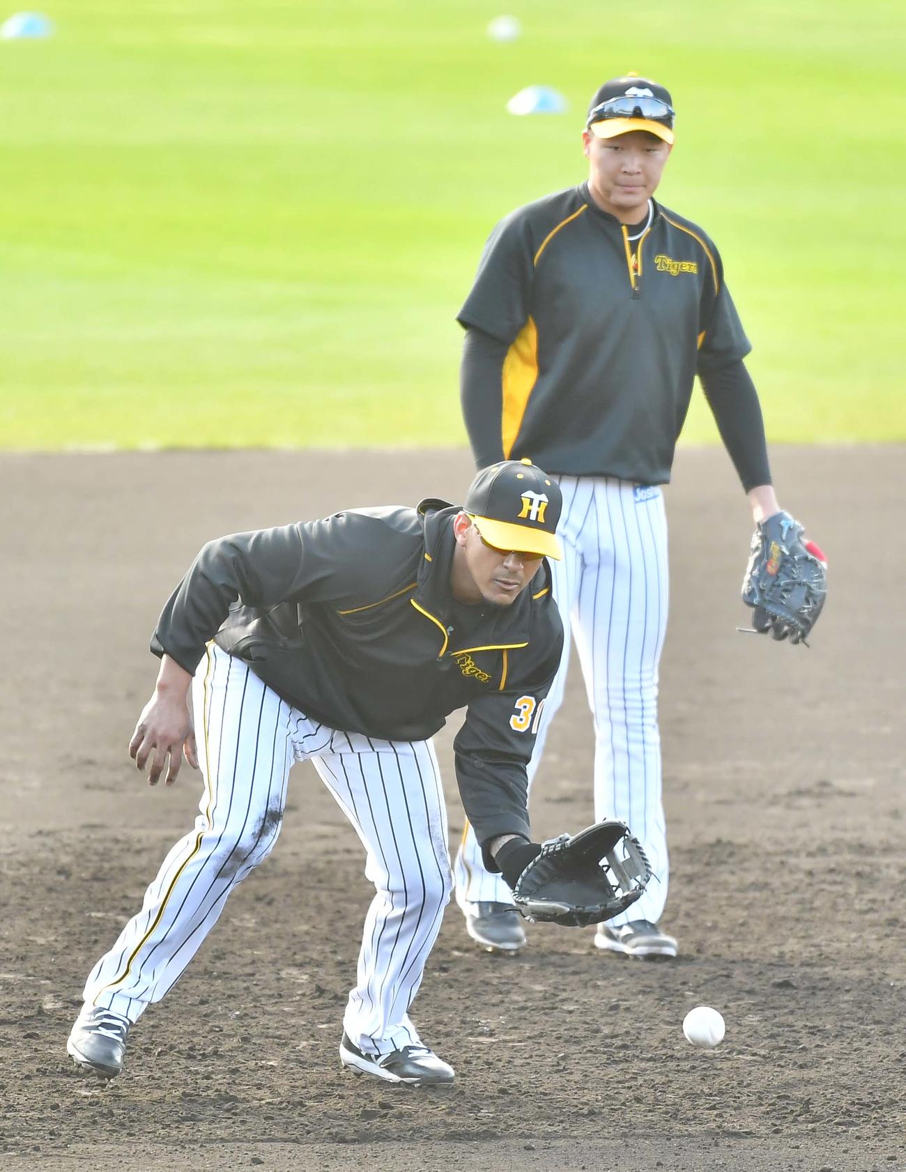 三塁を争う大山（右）と早出特守に参加し軽快な動きを見せる阪神マルテ（撮影・上田博志）