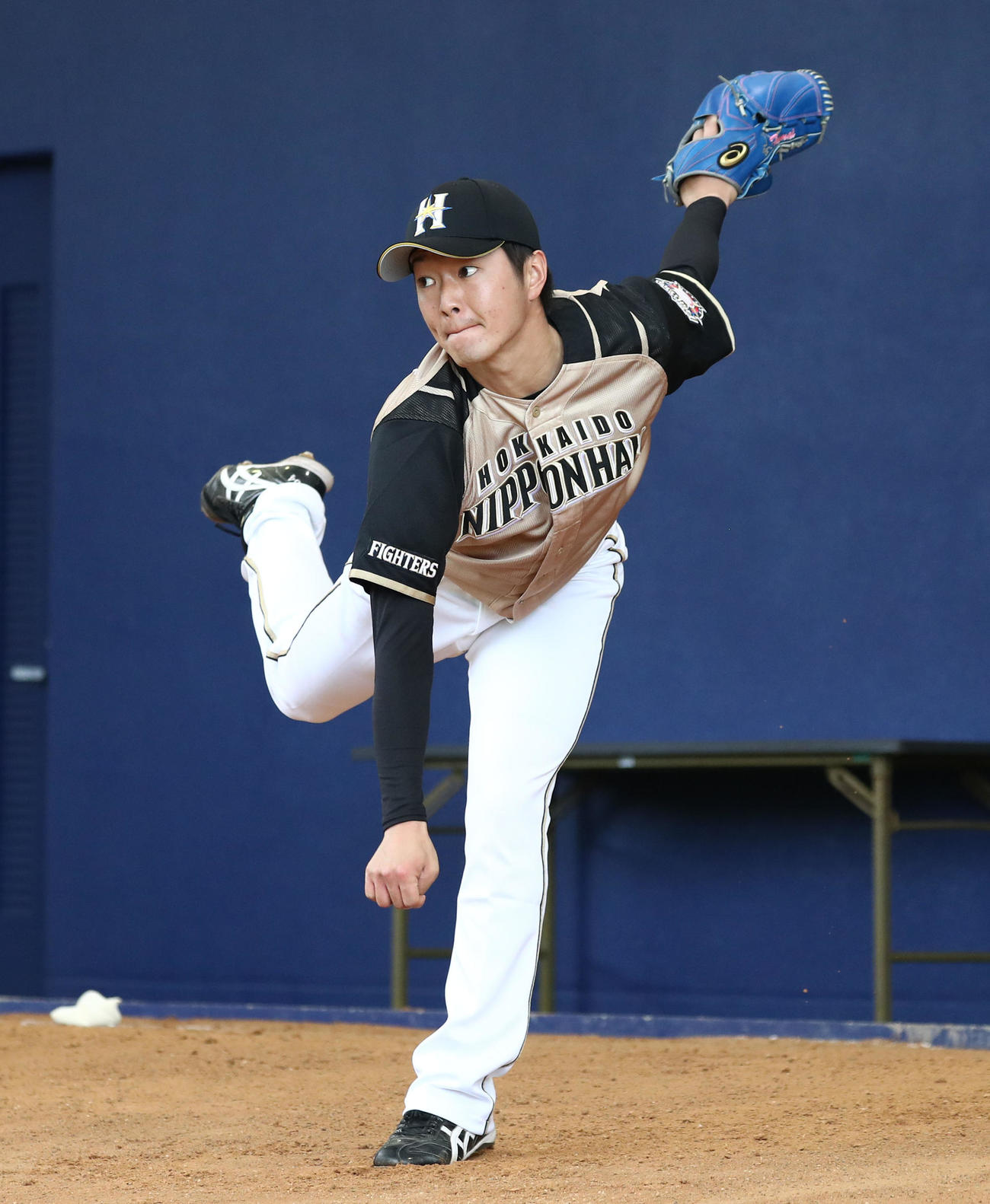 ブルペンで投球する日本ハム玉井（撮影・黒川智章）