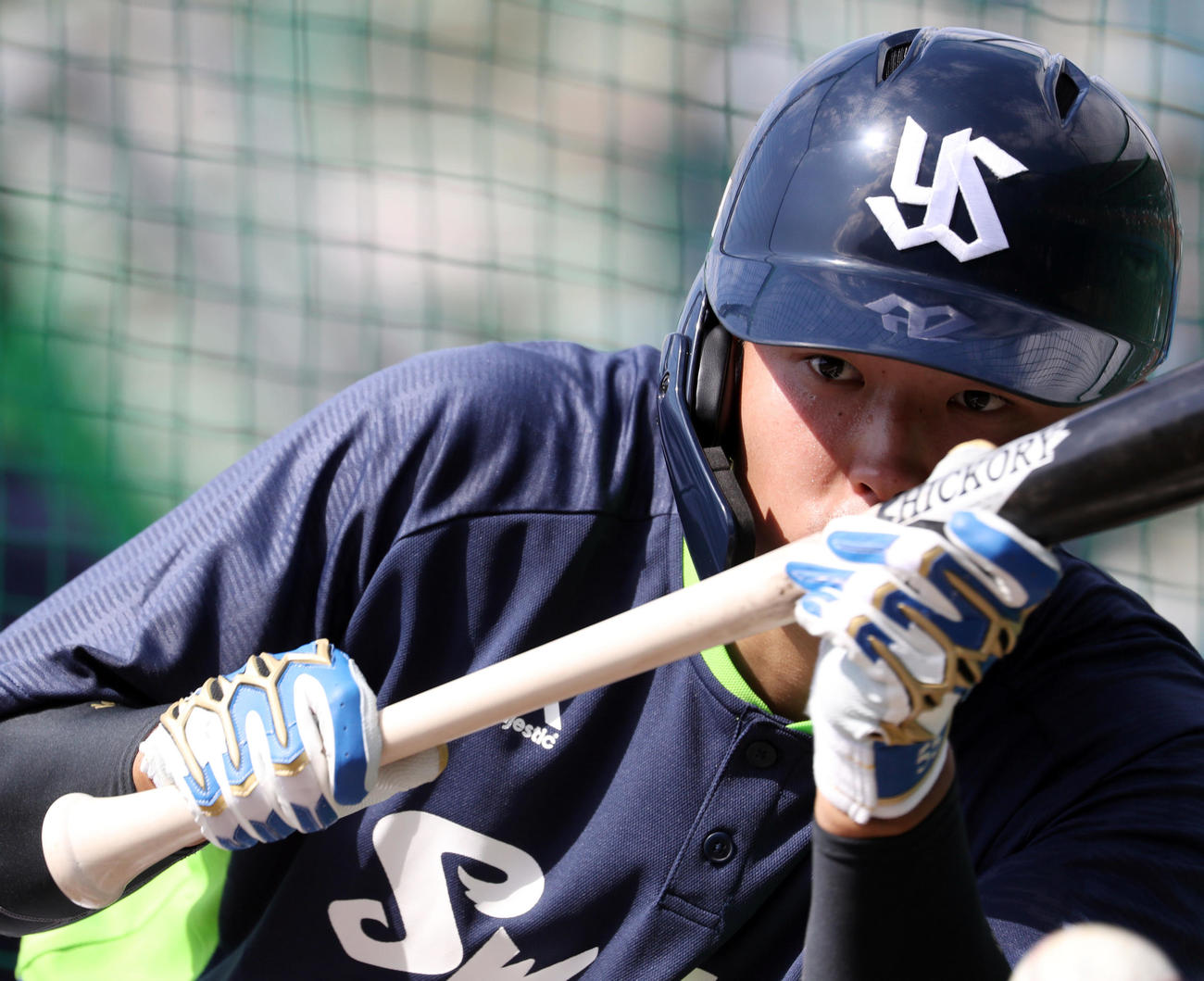 バント練習で集中する村上（撮影・狩俣裕三）