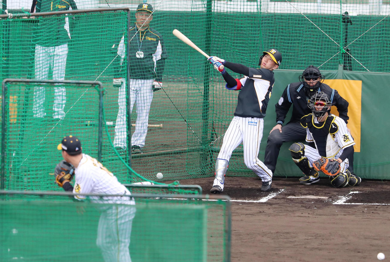 打撃投手で登板した阪神馬場（左）からサク越え弾を放つ糸原（撮影・加藤哉）