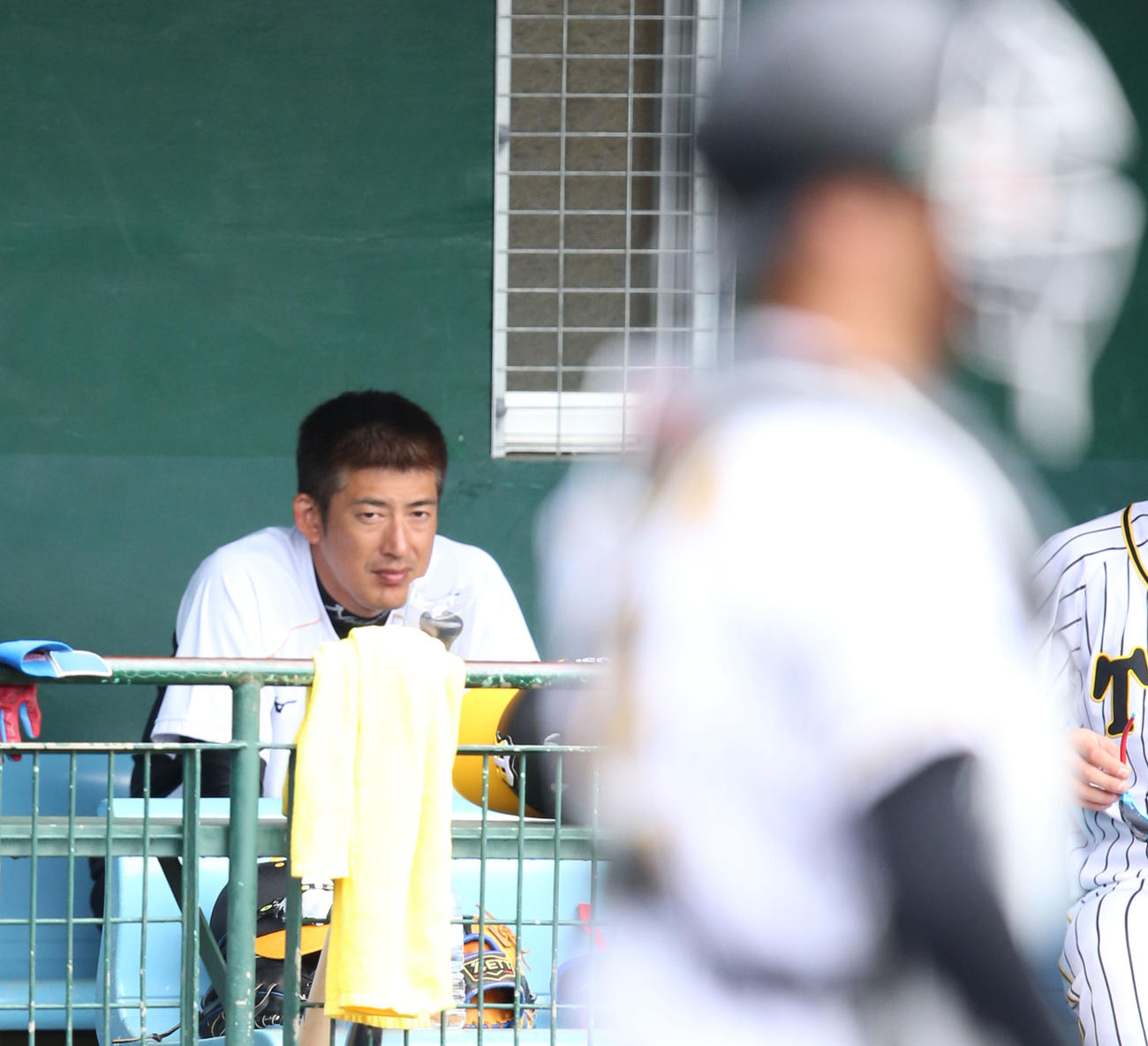 シート打撃を三塁ベンチから見る能見（撮影・上山淳一）