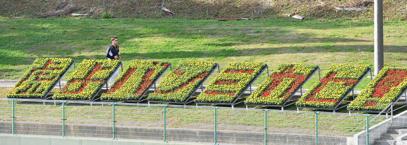 「虎よバンミカセ！」の植え込みの脇を走る阪神西勇輝（撮影・上田博志）