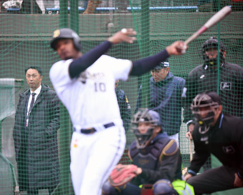 オリックスキャンプを訪れた本紙評論家の宮本慎也氏はジョーンズの打撃練習に鋭い視線を向ける(撮影・前岡正明)