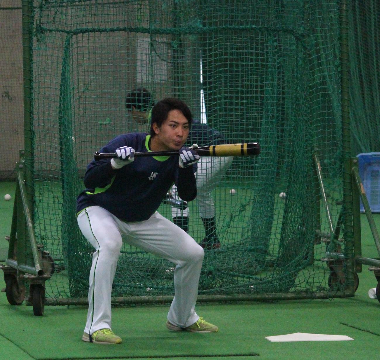 早出でバント練習をするヤクルト吉田成（撮影・保坂恭子）
