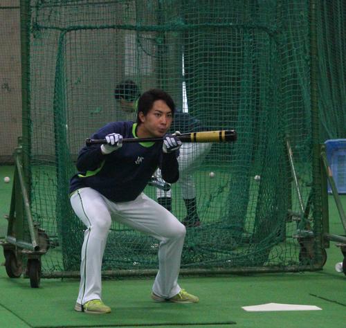 早出でバント練習をするヤクルト吉田成（撮影・保坂恭子）