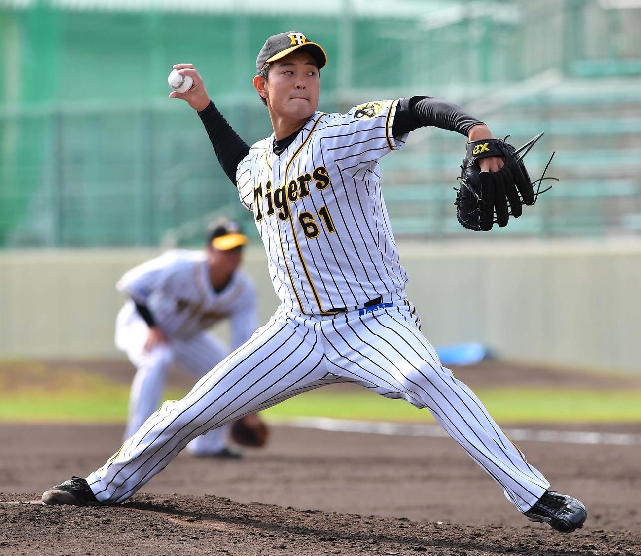 シート打撃で登板した望月（撮影・上田博志）