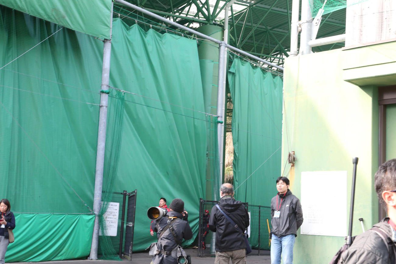 外部をシャットアウトしてサインプレーが行われた（撮影・梅根麻紀）
