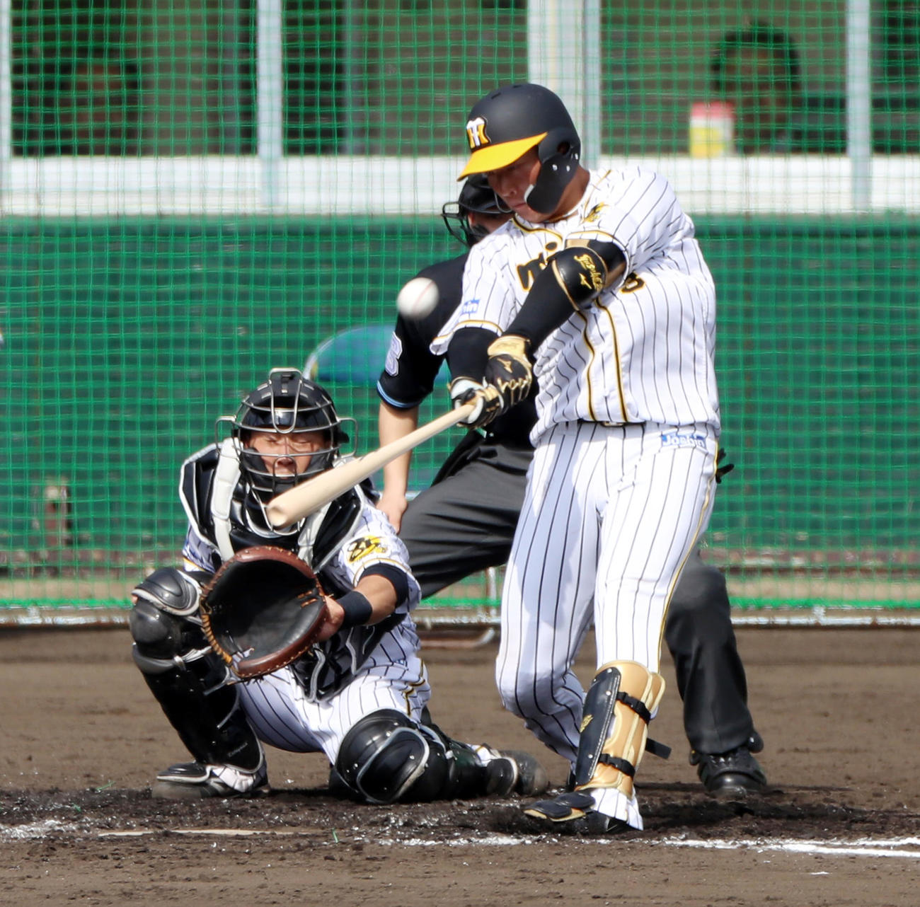 シート打撃で無死から左越え本塁打を放つ大山（撮影・加藤哉）