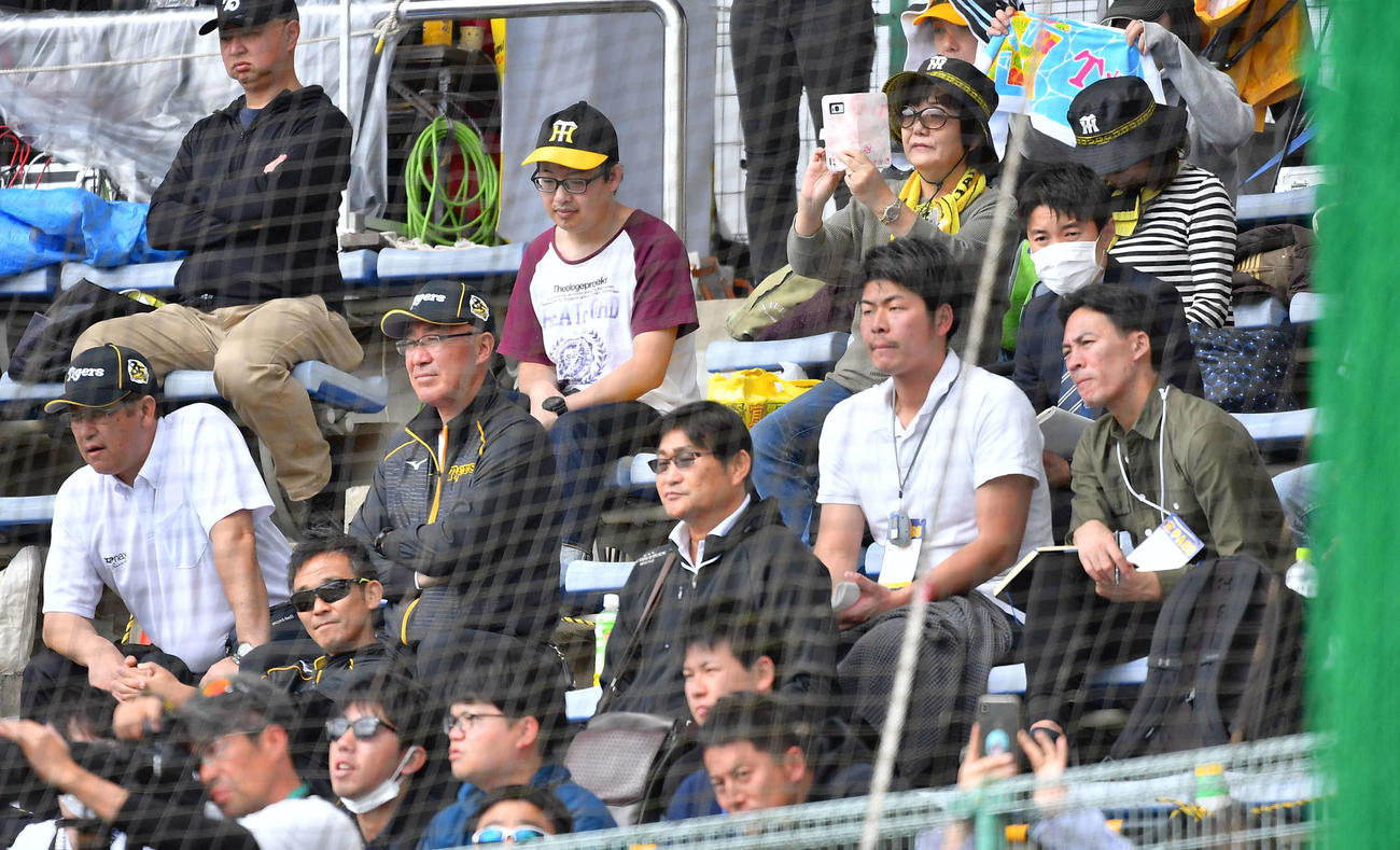 藤浪の登板を見るスコアラー（撮影・上田博志）