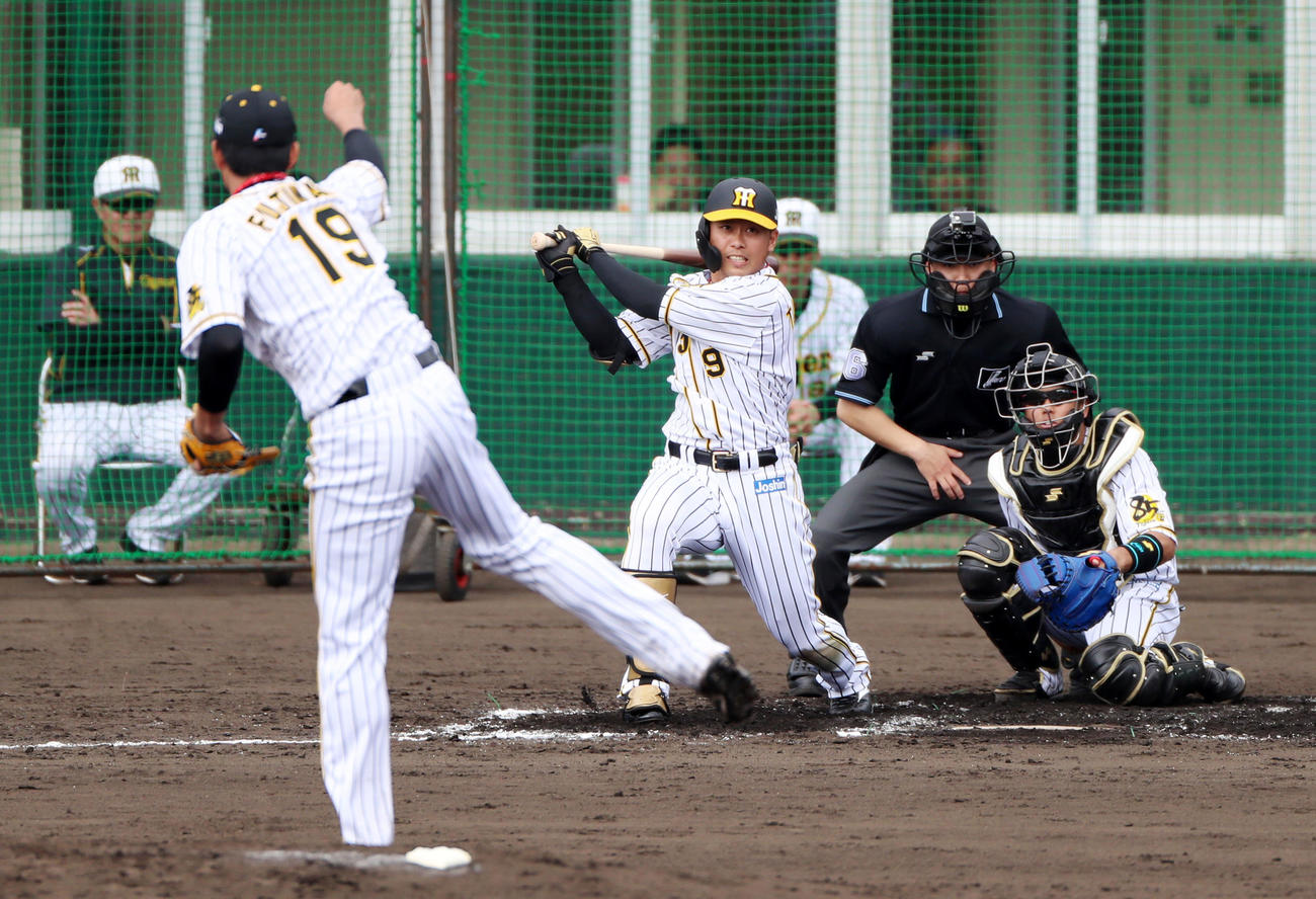 シート打撃で無死から左越え二塁打を放つ高山。投手は藤浪（撮影・加藤哉）