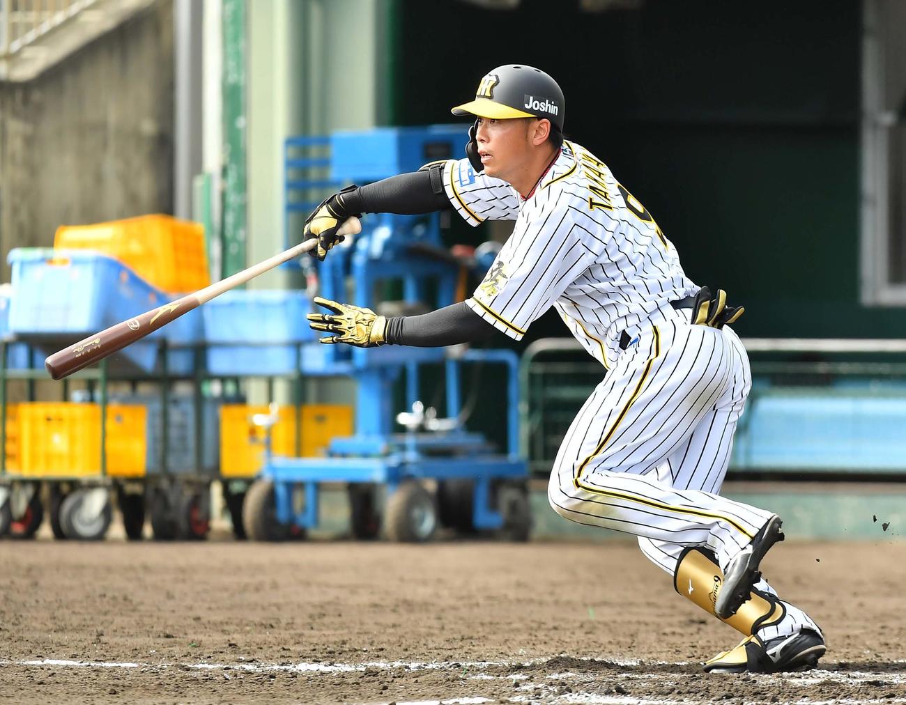 シート打撃で馬場から左前打を放つ高山（撮影・上田博志）