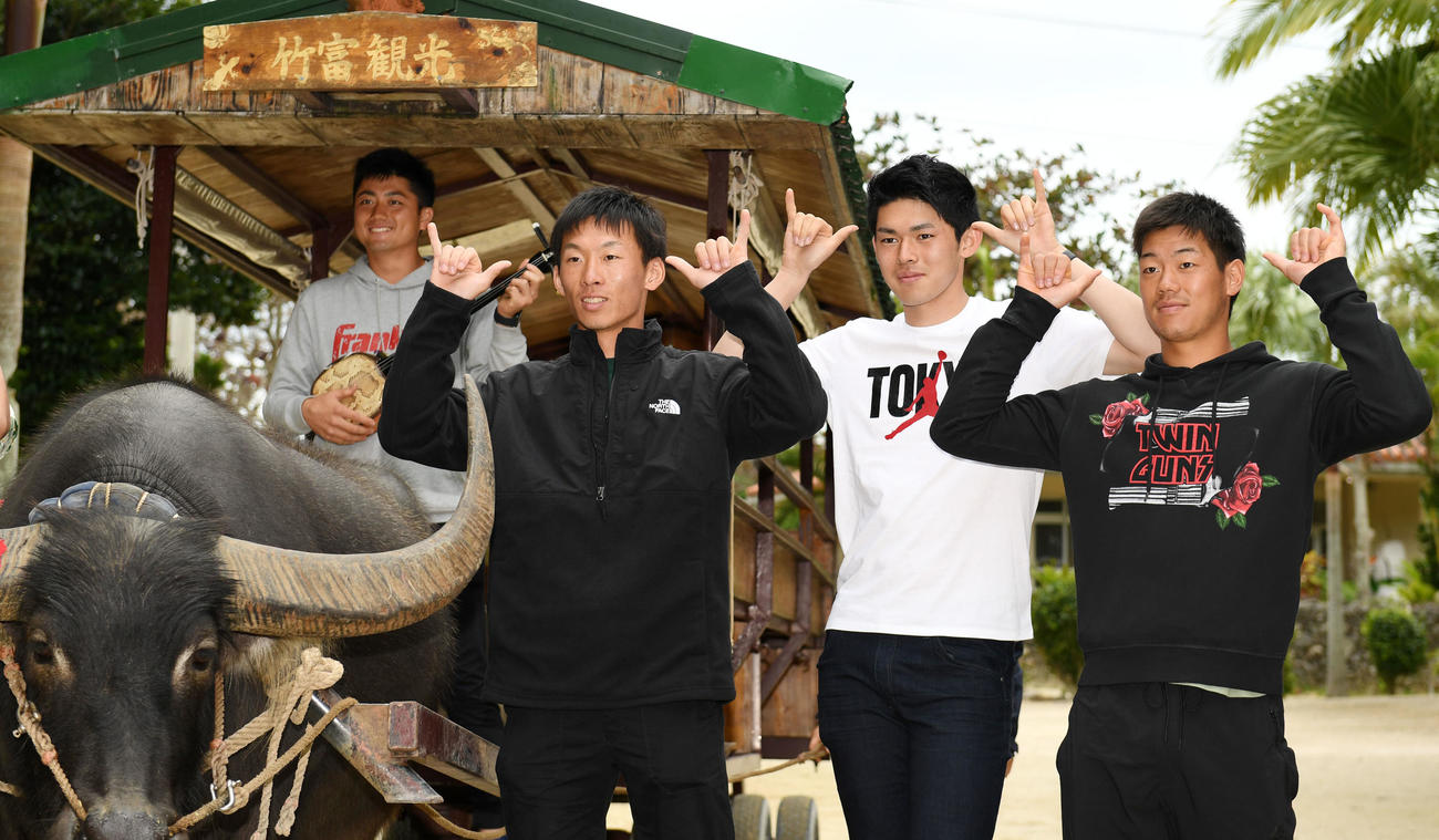 水牛ポーズをとる佐々木朗（左から3人目）らロッテ新人選手たち。左から植田、高部、1人おいて福田光（撮影・横山健太）