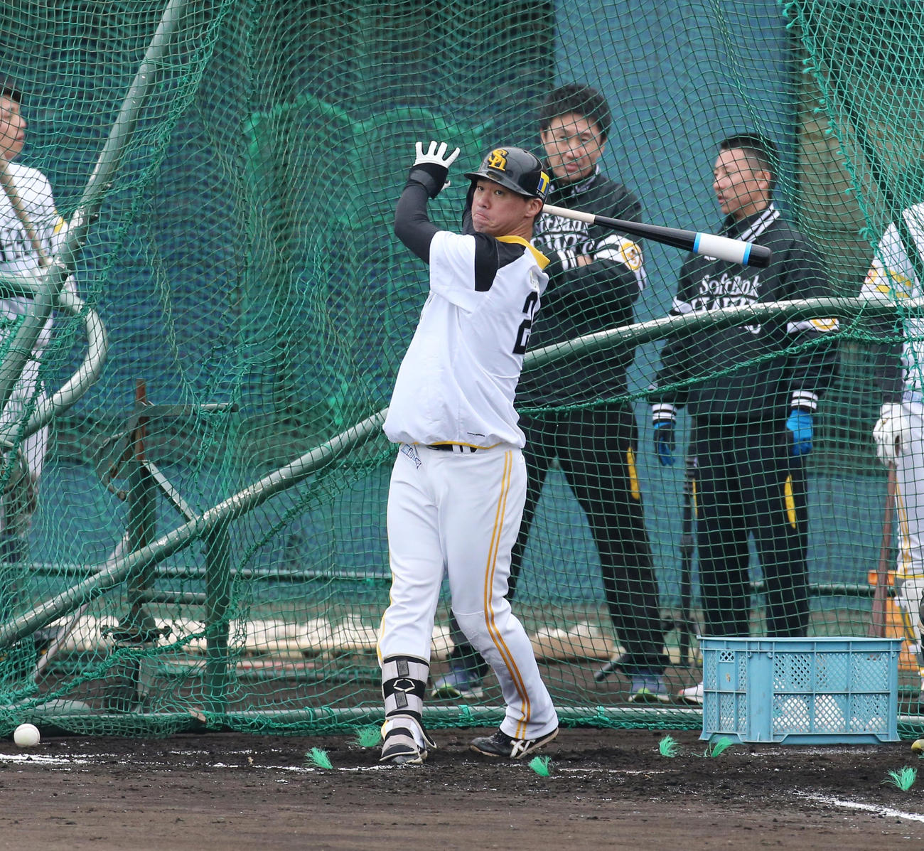 2月3日、フリー打撃を行う長谷川勇也